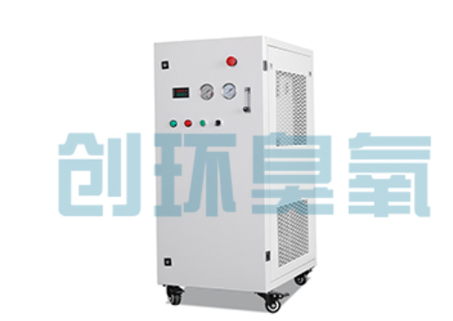 新华石斑鱼养殖水质调控完整指南:臭氧发生器配置与操作步骤