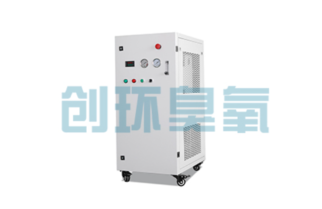 新华比传统换水更高效?臭氧发生器在石斑鱼养殖中的水质净化原理解析