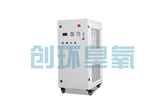 新华比传统换水更高效?臭氧发生器在石斑鱼养殖中的水质净化原理解析